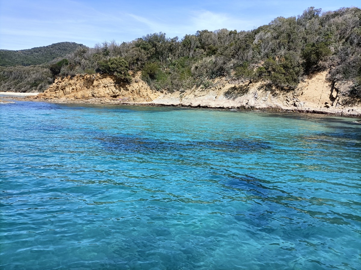 Cala violina